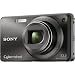 Sony Cyber-shot DSC-W290 12.1 MP Digital Camera with 5x Optical Zoom and Super Steady Shot Image Stabilization (Black)