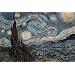 Vincent Van Gogh (The Starry Night) Art Print Poster - 24x36