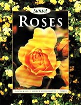 Roses (Gardening & Landscaping)