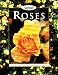 Roses (Gardening & Landscaping)