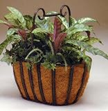 Deer Park iron Works Oval Twist Basket With Coco Liner