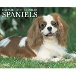 Cavalier King Charles Spaniels 2007 Calendar book cover
