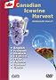 Canadian Icewine Ice Wine Harvest Canadian Icewine Ice Wine Harvest