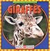 Giraffes (Animals I See at the Zoo)