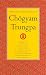 The Collected Works of Chogyam Trungpa, Volume 6: Glimpses of Space-Orderly Chaos-Secret Beyond Thought-The Tibetan Book of the Dead: Commentary-Transcending Madness-Selected Writings by Chogyam Trungpa ISBN 1590300300