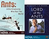 Ants - Little Creatures Who Run the World / Lord of the Ants - Naturalist E.O. Wilson (2 Pack)