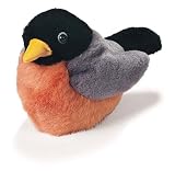 Robin Audubon Bird 5