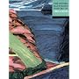 The Oxford Illustrated History of Ireland (Oxford Illustrated Histories)