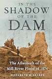 In the Shadow of the Dam: The Aftermath of the Mill River Flood of 1874