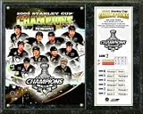 Pittsburgh Penguins 2009 Stanley Cup Champs Plaque