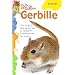 Ma gerbille