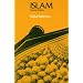 good intro to Islam, law  and Sufism (stuff i have read)