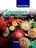 Sponges and other minor phyla