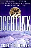 Ice Blink: The Tragic Fate of Sir John Franklin s Lost Polar Expedition