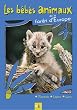 Les B�b�s animaux des for�ts d'Europe