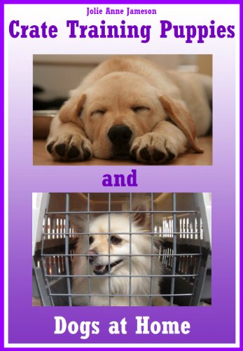 crate training puppies
