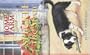 Speckle the Stray (Home Farm Twins)