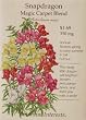 Snapdragon Seeds Magic Carpet 550 Seeds