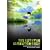 Die letzten Gl�hw�rmchen