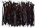 1 LB Mexican Vanilla Beans