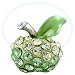 Green And Yellow Studded Apple Toe