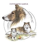 Sheltie - Trio Image by Cindy Farmer