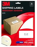 3M Permanent Adhesive Shipping Labels, 2 x 4 Inches, White, 250 per Pack (3200-S)