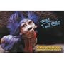 Labyrinth - Worm Postcard