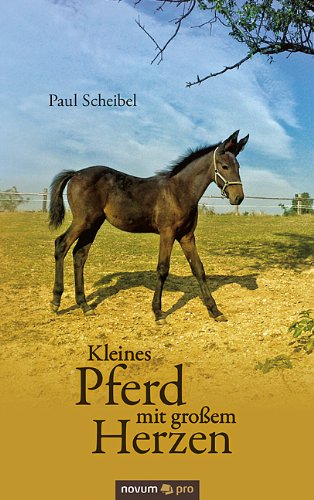 Kleines Pferd mit großem Herzen (German Edition)