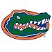 NCAA Siskiyou Sports Fan Shop Florida Gators Logo Magnets 8 inch sheet Team Color