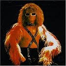Michel Polnareff