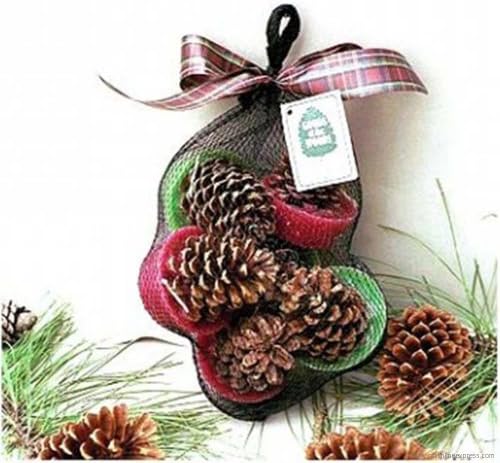 Cone Starters in Mesh Bag