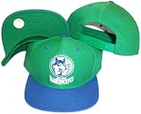 Minnesota Timberwolves Green/Blue Two Tone Snapback Adjustable Plastic Snap Back Hat / Cap