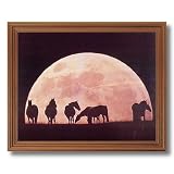 Framed Oak Horses Moon Western Rodeo Cowboy Animal Pictures Art Print by 