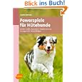 Produkt-Information 