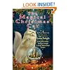 The Magical Christmas Cat