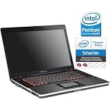 Gateway MC 7321u - Pentium Dual Core T3200 / 2 GHz - RAM 3 GB - HDD 320 GB - DVD?RW (?R DL) / DVD-RAM - GMA 4500MHD - Gigabit Ethernet - WLAN : 802.11b/g/n (draft) - Vista Home Premium - 16\