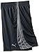 PUMA Big Boys' Form Stripe Short, Charcoal, Medium