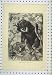 Sloth-Bears Forest Glade C1850 Wild Animals Engraving