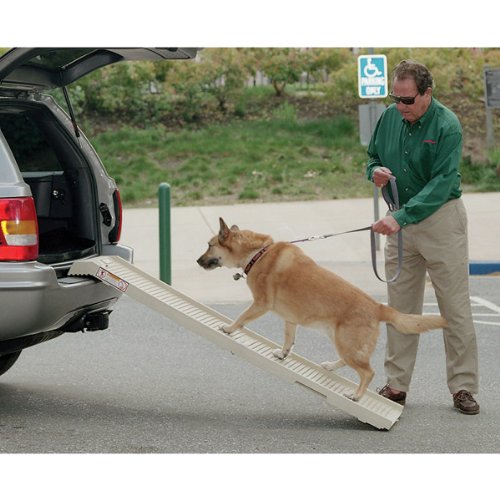 Pet Step Folding Pet Ramp