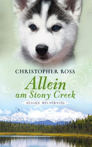 Allein am Stony Creek: Alaska Wilderness 3 (German Edition)
