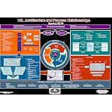 ITIL V3 Process Map (11x17) (V3)
