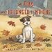 The Dog Who Belonged to No One