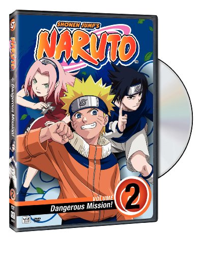 Naruto, Vol. 2: Dangerous Mission! [DVD] [Region 1] [US Import] [NTSC]