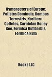 Hymenoptera of Europe: Polistes Dominula, Bombus Terrestris, Northern Colletes, Carniolan Honey Bee, Formica Rufibarbis, Formica Rufa-