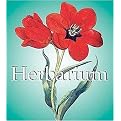 Herbarium (Mega Square) (Illustrated) (Hardcover)