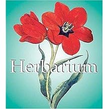 Herbarium (Mega Square) (Illustrated) (Hardcover)