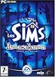 Les Sims : Abracadabra (Add on)