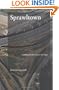 Sprawltown: Looking for the City on its Edges