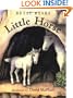 Little Horse